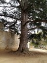 2018-09-21 14-40-43 Chateau de Fenelon FGn